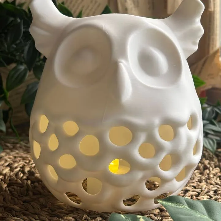 Owl Lantern — Small thumbnail 3