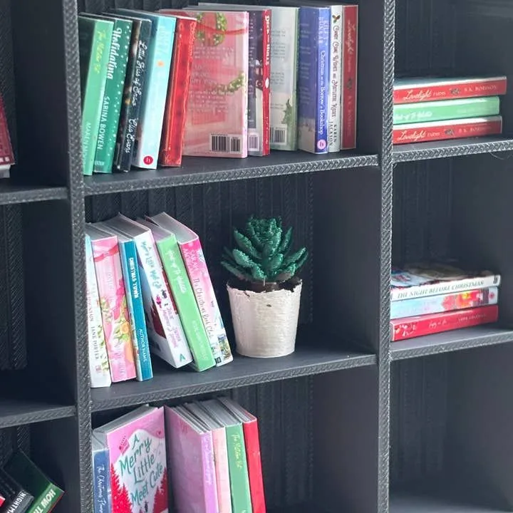 Mini Succulent for Miniature Bookshelf