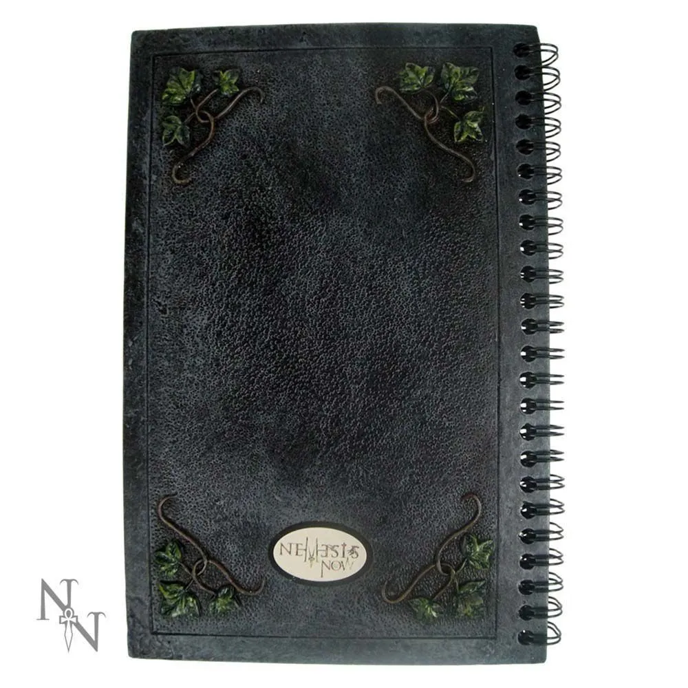 Ivy Book of Shadows 22 cm thumbnail 3