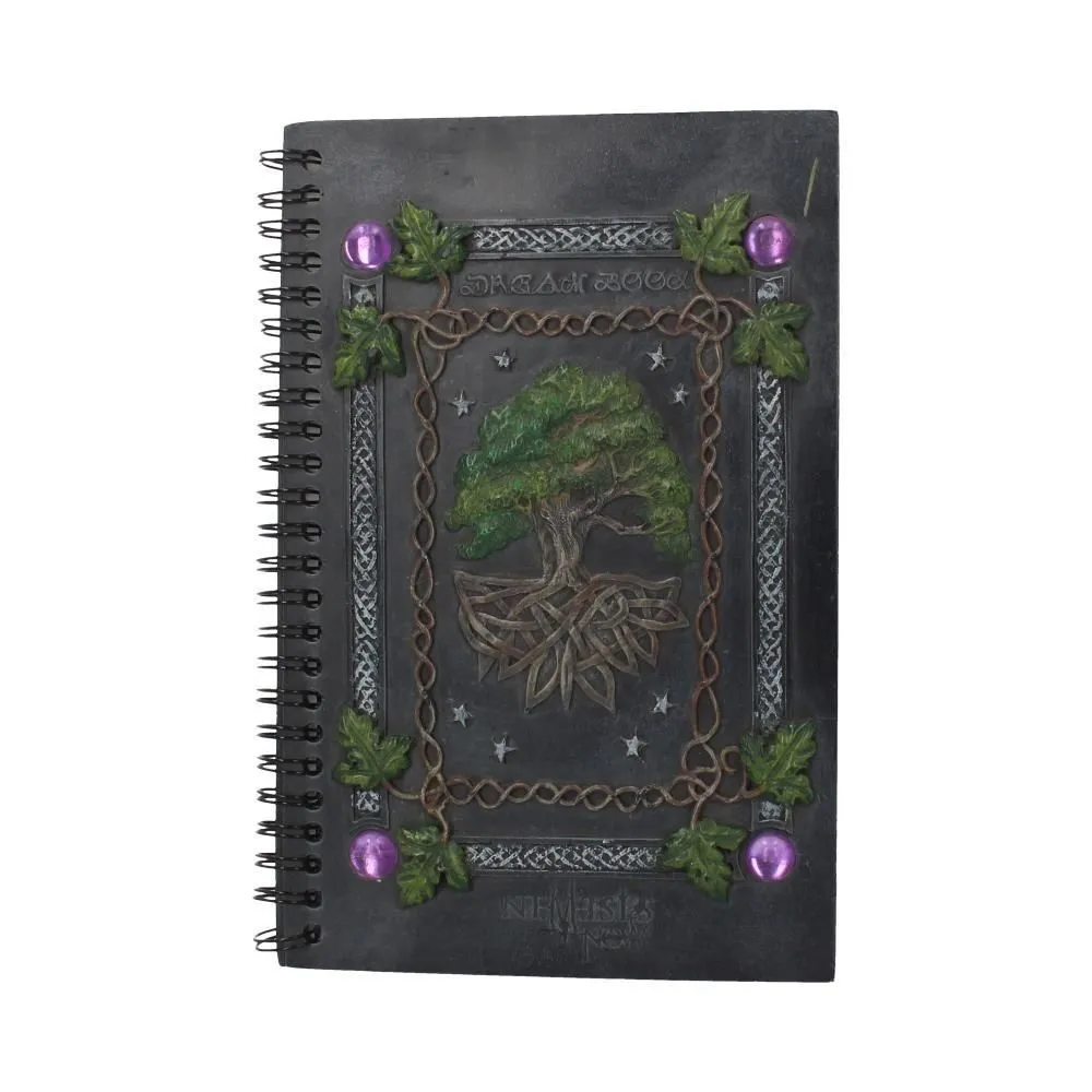 Dream Book 21 cm
