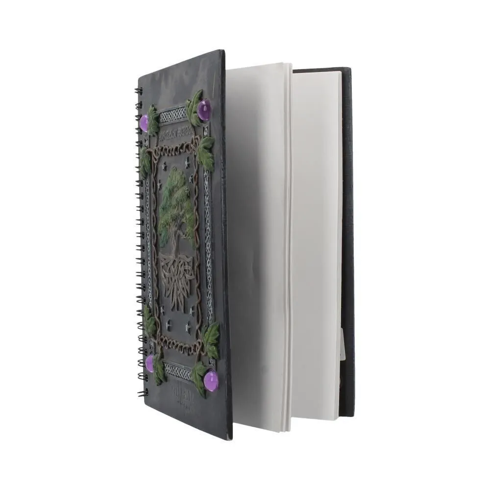 Dream Book 21 cm thumbnail 2