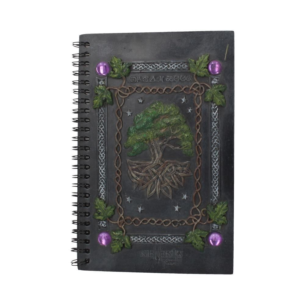 Dream Book 21 cm